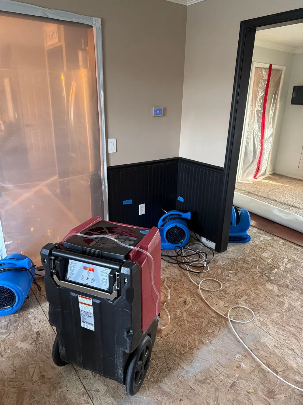 Water Damage Restoration Companies in Pebble Brook: Reviews & Cost